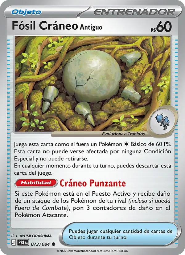 Fósil Cráneo Antiguo