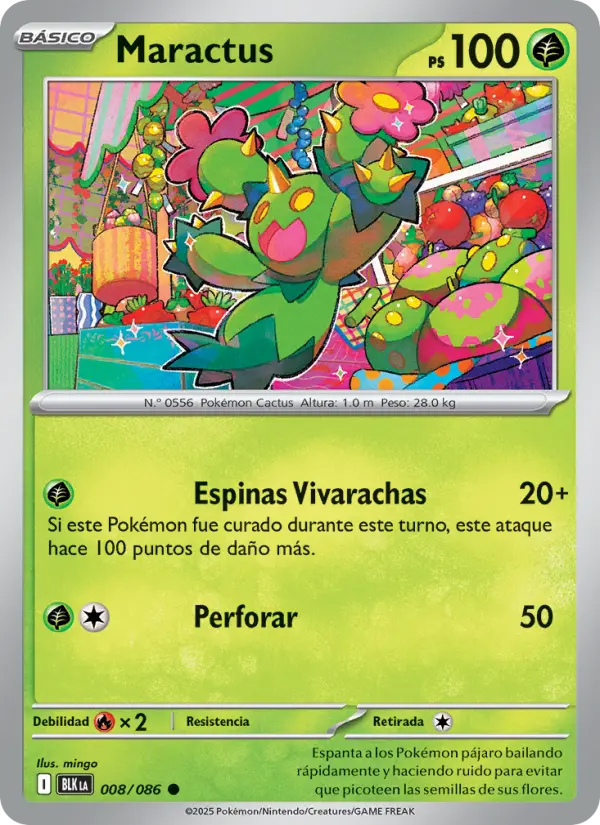 Maractus (Spanish (Mexico))