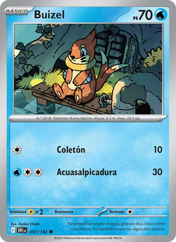 Buizel