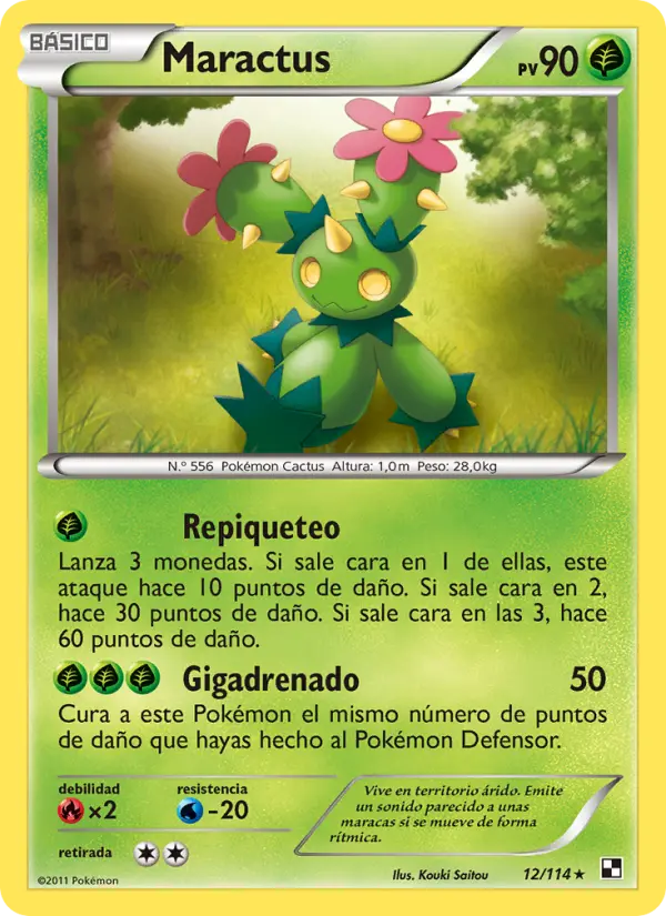 Maractus