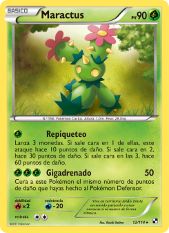 Maractus