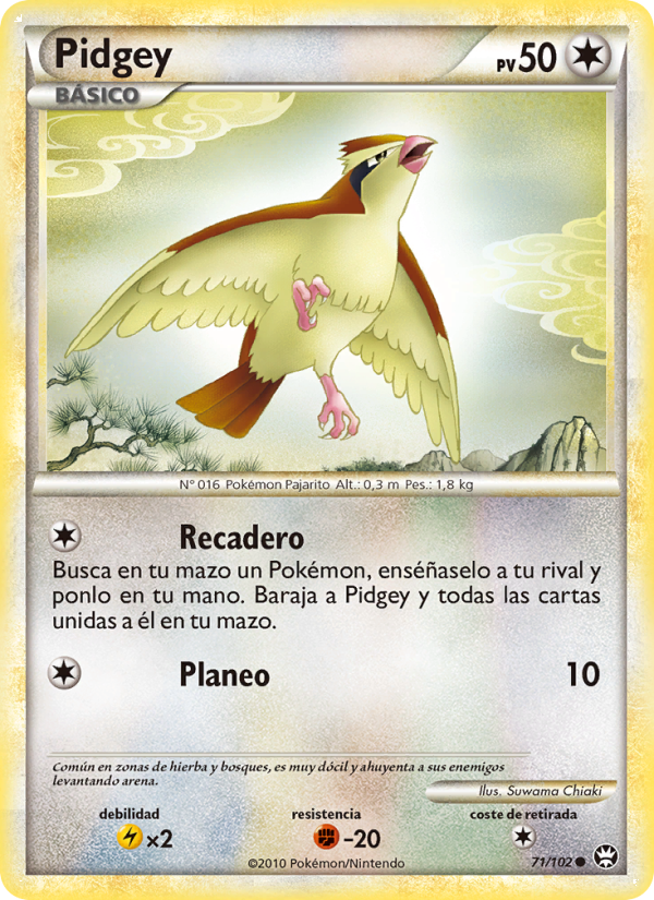 Pidgey