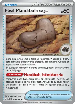 Fósil Mandíbula Antiguo