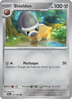 Shieldon