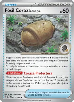 Fósil Coraza Antiguo