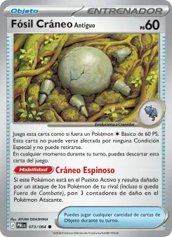 Fósil Cráneo Antiguo