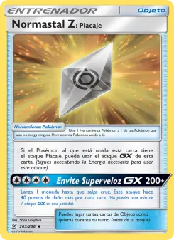 Normastal Z: Placaje