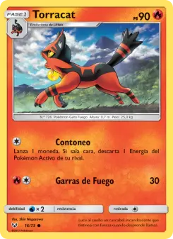 Torracat