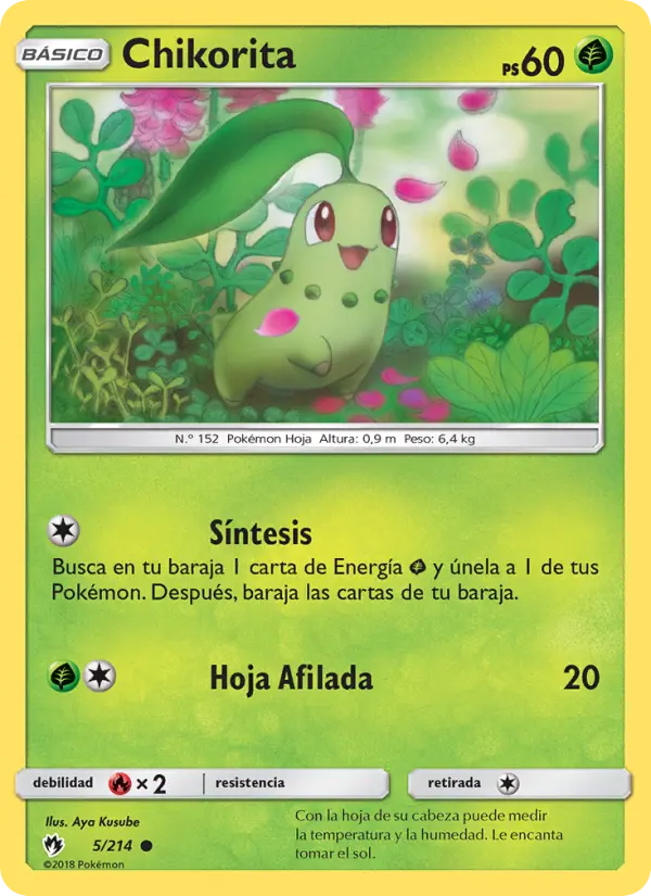 Chikorita