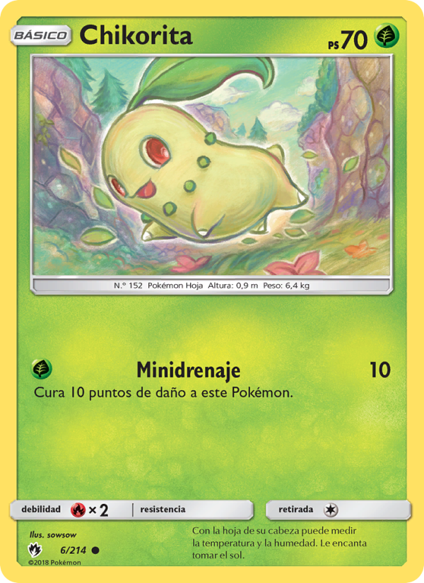 Chikorita