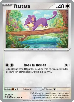 Rattata