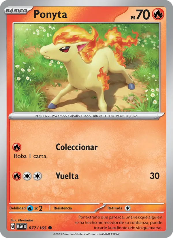 Ponyta