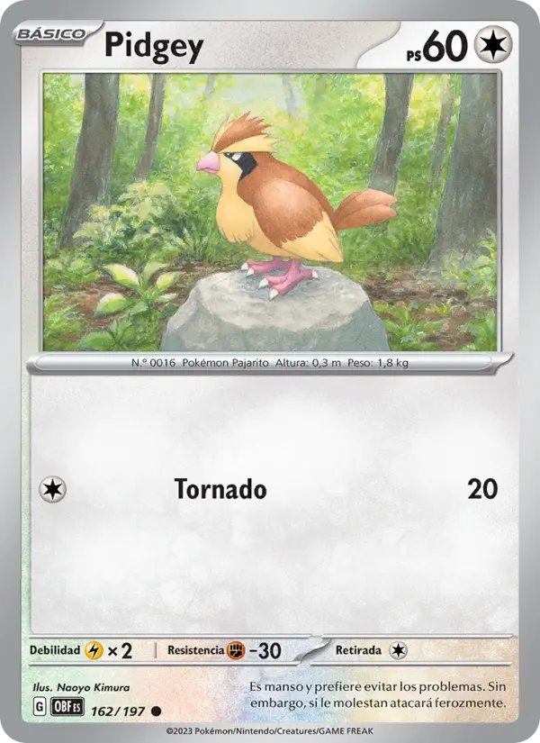 Pidgey