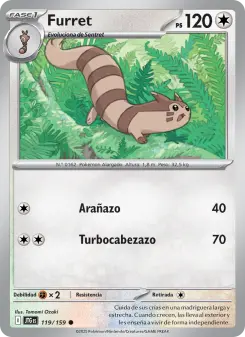 Furret