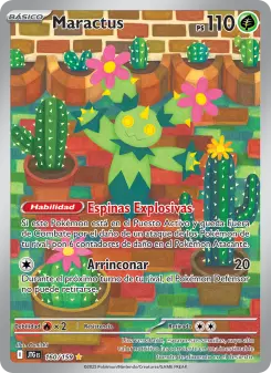 Maractus
