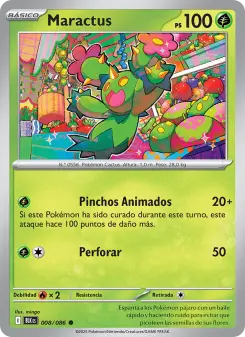 Maractus