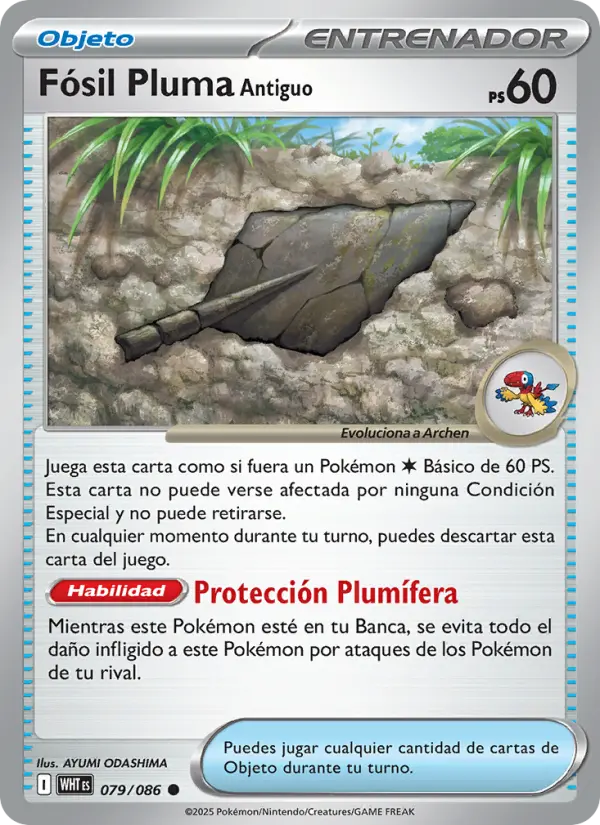 Fósil Pluma Antiguo