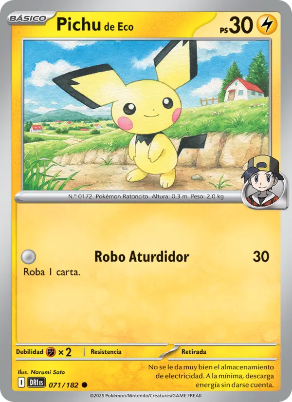 Pichu de Eco