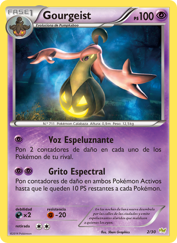 Gourgeist from Kit de Entrenador XY (Noivern)
