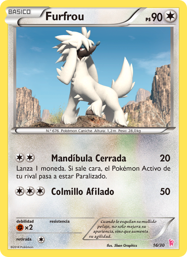 Furfrou from Kit de Entrenador XY (Pikachu Enmascarada)