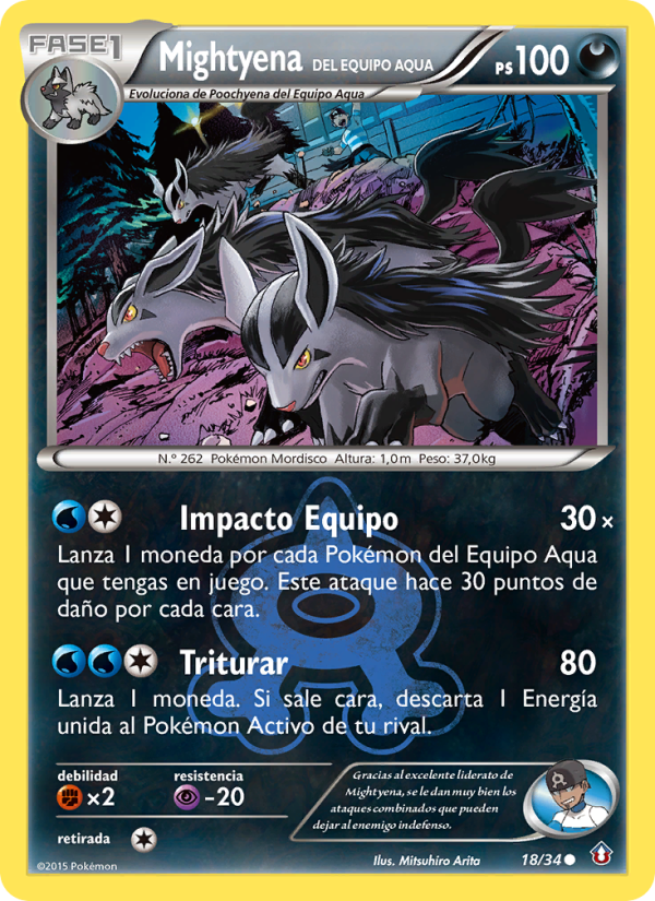 Team Aqua's Mightyena