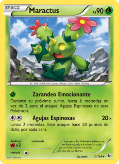 Maractus