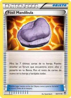 Fósil Mandíbula