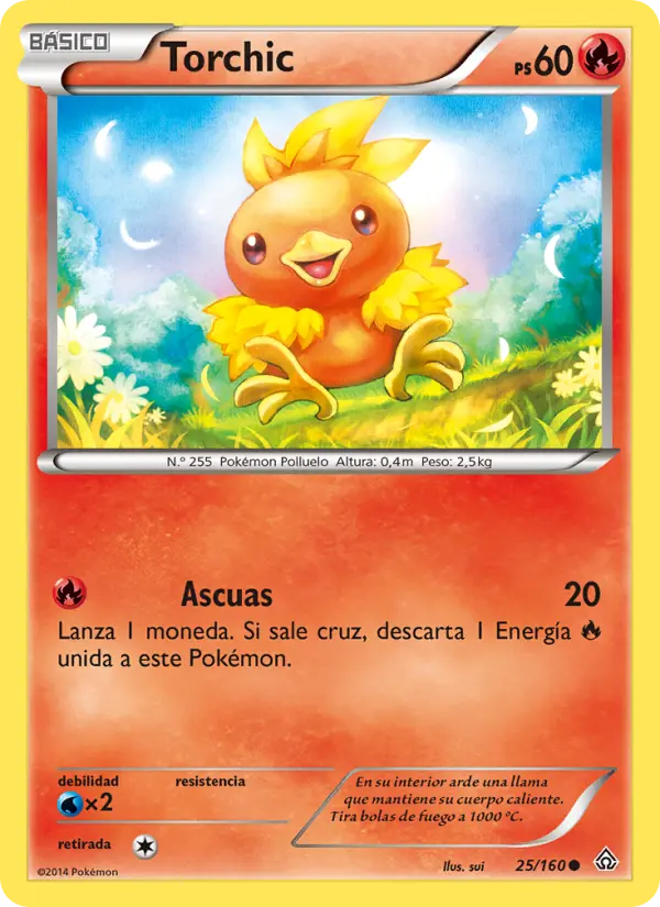 Torchic