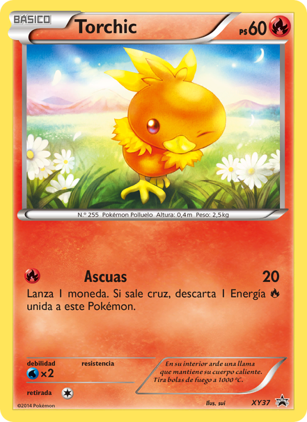 Torchic