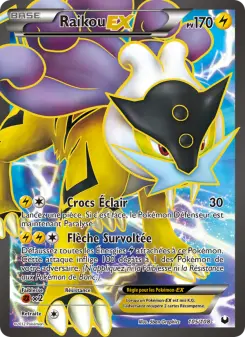 Carte Pokémon Raikou-EX