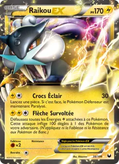 Carte Pokémon Raikou-EX