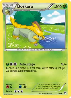 Carte Pokémon Boskara
