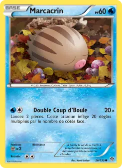 Carte Pokémon Marcacrin