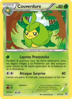 Carte Pokémon Couverdure