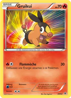 Photo carte Pokemon Gruikui Promo BW BW02/101