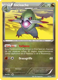 Photo carte Pokemon Incisache Coffre des Dragons 14/20