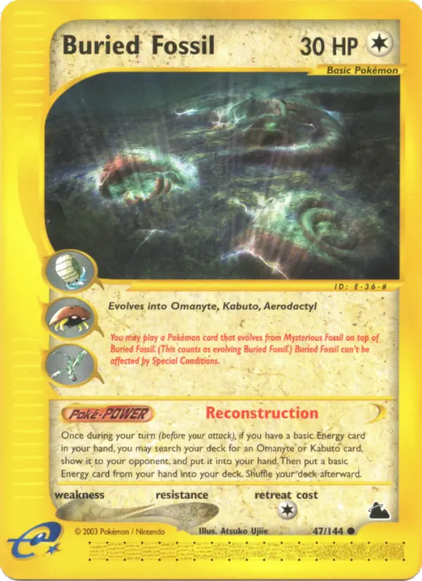 Buried Fossil (French)