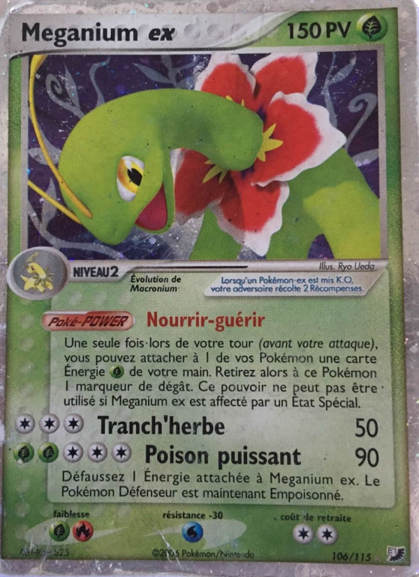 Meganium ex