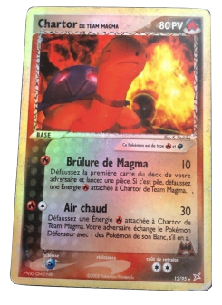 Chartor de Team Magma