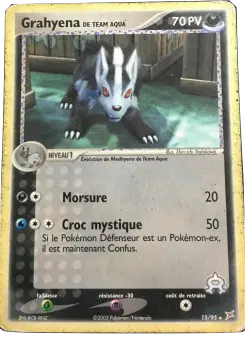 Grahyena de Team Aqua