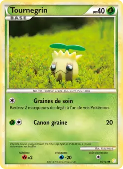 Carte Pokémon Tournegrin