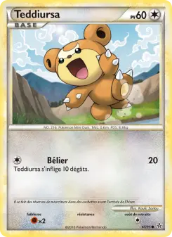 Carte Pokémon Teddiursa