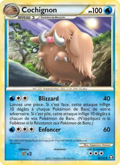Carte Pokémon Cochignon