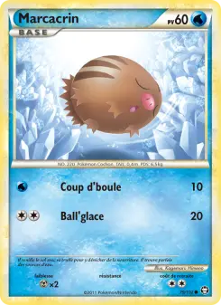 Carte Pokémon Marcacrin
