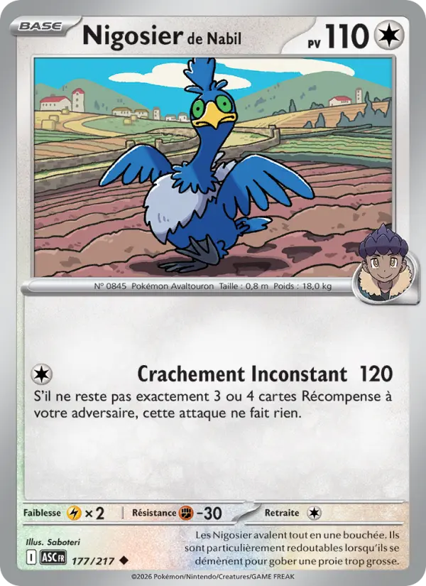 Nigosier de Nabil card image