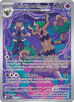 Desséliande de Nabil