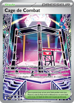 Cage de Combat
