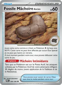 Fossile Mâchoire Ancien