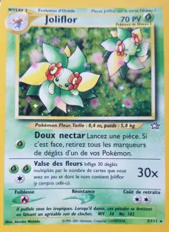 Joliflor