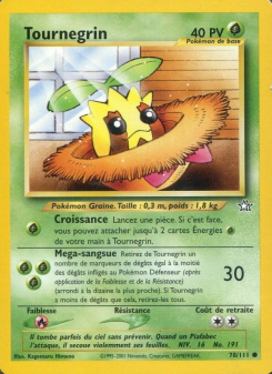 Tournegrin
